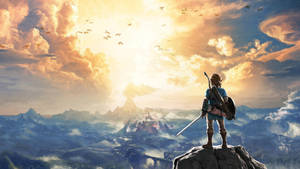 Hd Aesthetic Link In Breath Of The Wild Wallpaper