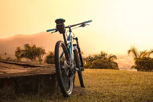 Hd Bicycle Sunset Wallpaper