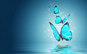 Hd Blue Butterflies Wallpaper