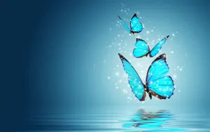 Hd Blue Butterflies Wallpaper