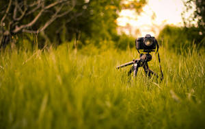 Hd Camera On A Tripod Wallpaper