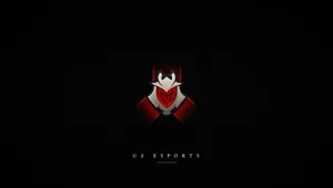 Hd Csgo G2 Esports Logo Wallpaper