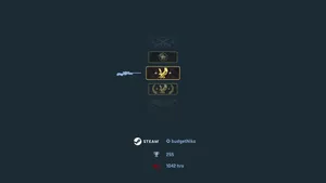 Hd Csgo Ranks Wallpaper