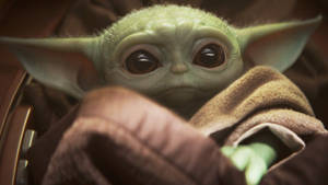 Hd Innocent Baby Yoda Wallpaper