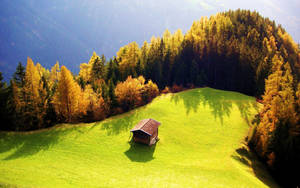 Hd Landscape Vibrant Green Scenery Wallpaper