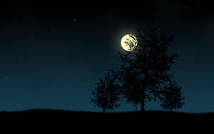 Hd Moon Glowing Behind Trees Wallpaper