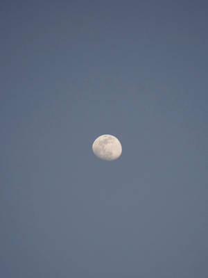 Hd Moon In The Gray Sky Wallpaper