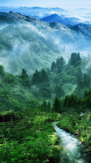 Hd Nature Phone Foggy Mountain Wallpaper