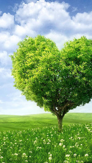 Hd Nature Phone Heart Tree Wallpaper