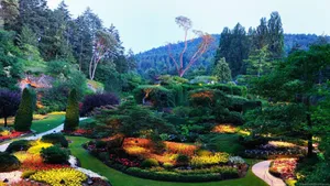 Hd Nature Vibrant Colors Wallpaper