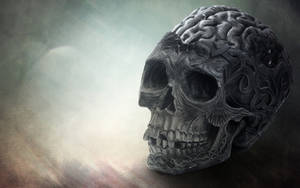 Hd Skull With Brain Wallpaper