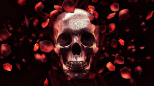 Hd Skull With Red Petals Wallpaper