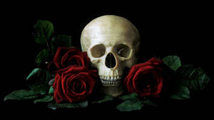 Hd Skull With Red Roses Wallpaper