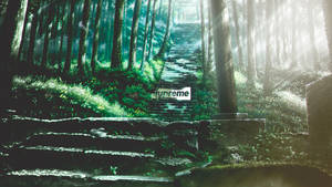 Hd Supreme Forest Staircase Wallpaper