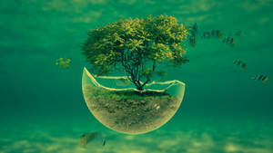 Hd Water With Miniature Tree Wallpaper