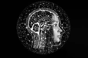 Head With Matrix Mind Concept Wallpaper