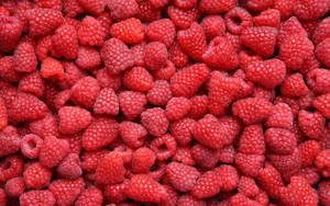 Heap Of Red Raspberries Wallpaper