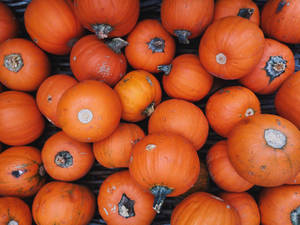 Heap Of Small Rustic Fall Pumpkins Wallpaper