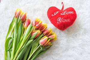 Heart Pillow And Tulips Love Computer Wallpaper