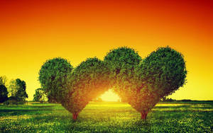 Heart-shaped Green Trees Wallpaper