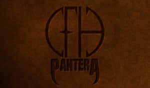 Heavy Metal Band, Pantera, In Performance Wallpaper