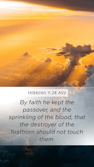 Hebrews 11 Any Faith He Hath The Root, The Passover And The Blood, That They Should Not Touch Them Wallpaper