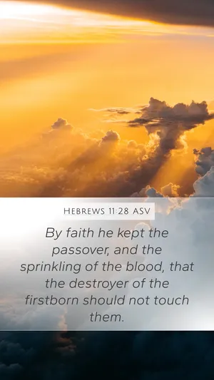 Hebrews 11 Any Faith He Hath The Root, The Passover And The Blood, That They Should Not Touch Them Wallpaper