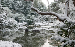 Heian Shrine Winter Desktop Wallpaper