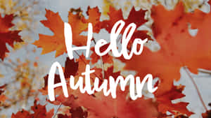 Hello Fall- A Time For Transitioning Into A Season Of Warmer Colours. Wallpaper