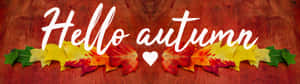 Hello Fall Red Green Yellow Art Wallpaper