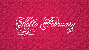 Hello February On Pink Wall Wallpaper