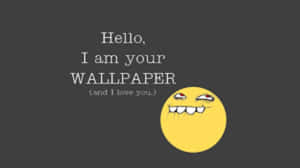 Hello I Am Your Wallpaper And I Love You Wallpaper