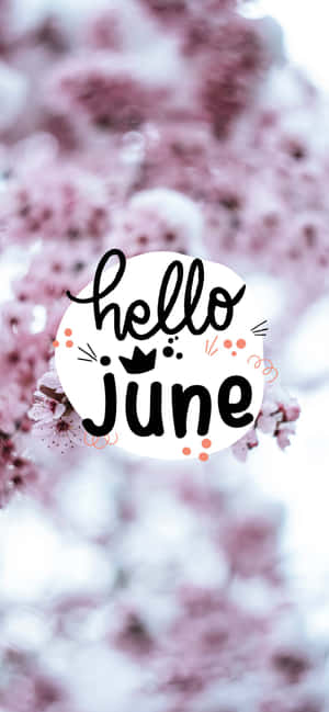 Hello June Wallpapers Wallpaper