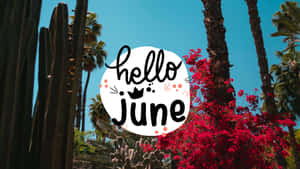 Hello June With Cactus And Trees Wallpaper