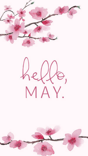Hello May Cherry Blossom Painting Wallpaper