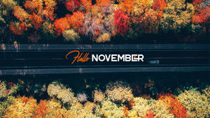 Hello November Autumn Road Aerial Wallpaper