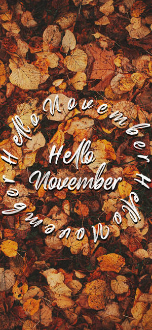 Hello November On Autumn Leaves Wallpaper