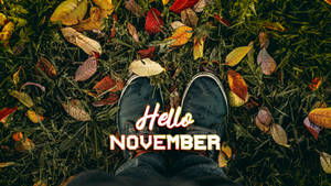 Hello November Shoes On Grass Wallpaper