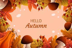 Hellow Fall Autum Mushroom Wallpaper