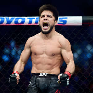Henry Cejudo Winning Ufc Flyweight Title 2019 Wallpaper
