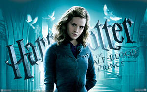 Hermione Granger Harry Potter Ipad Wallpaper