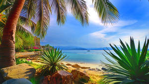 Hidden Tropical Paradise Wallpaper