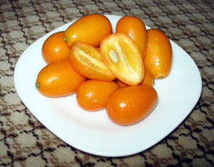 High Angle Sliced Kumquat Fruit Shot Wallpaper