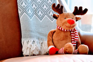 High Resolution Christmas Stuffed Moose Wallpaper