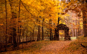 High Resolution Fall Alley Foliage Wallpaper