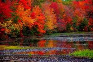 High Resolution Fall Mount Shasta California Wallpaper