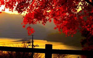 High Resolution Fall Mountains And Lake Wallpaper