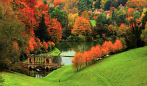 High Resolution Fall Prior Park Landscape Garden Wallpaper