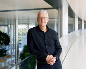 Highest Paid Ceo Tim Cook Wallpaper