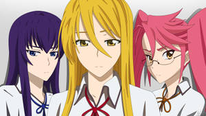 Highschool Of The Dead Anime Girls Wallpaper